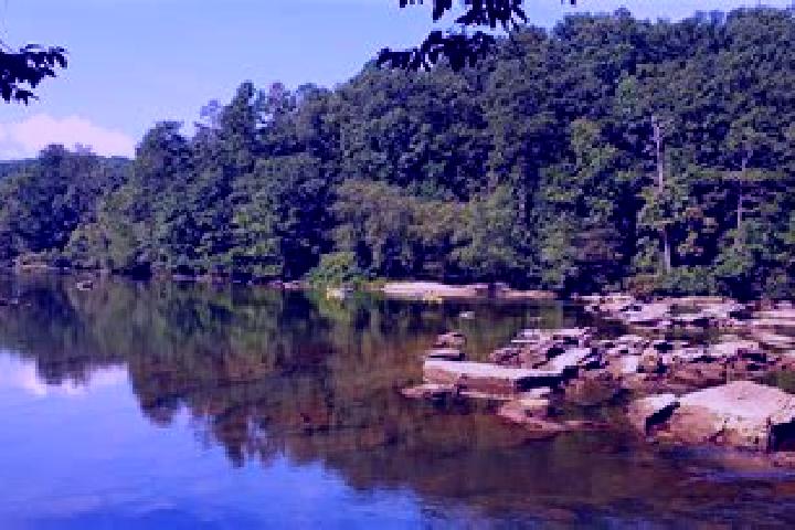 escort Chattahoochee