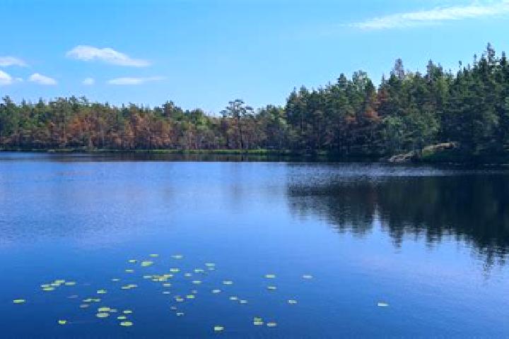 escort Cheat Lake