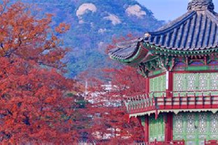 escort Cheongju-si