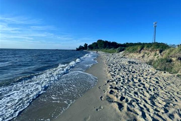 escort Chesapeake Beach