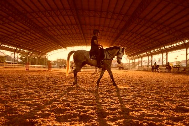 escort Cheval