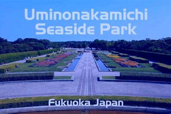 escort Chikushino-shi