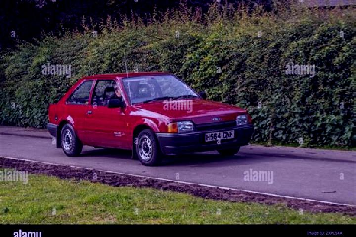 escort Chingford