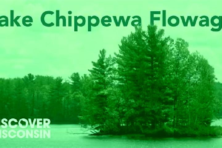 escort Chippewa Lake