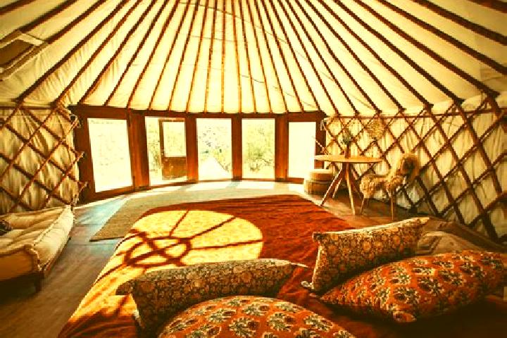 escort Chiri-Yurt