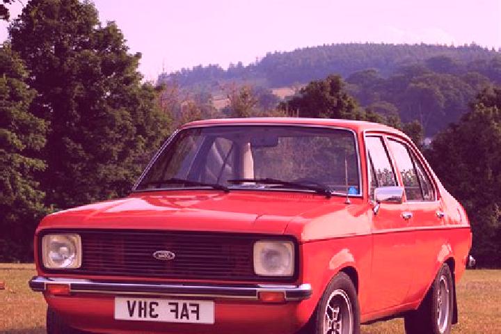 escort Chistogorskiy