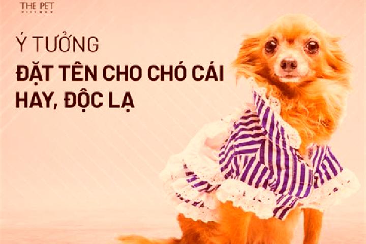 escort Cho Chu