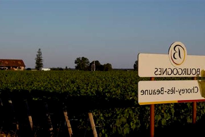 escort Chorey-les-Beaune