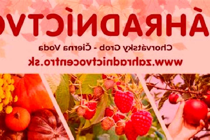 escort Chorvatsky Grob