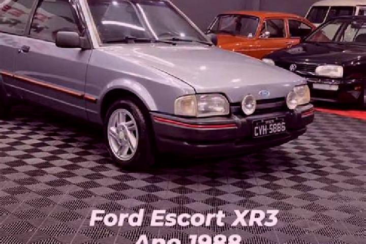 escort Cidade Nova