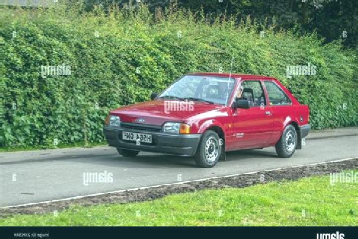 escort Cincu