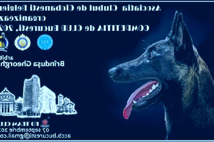 escort Ciobanesti