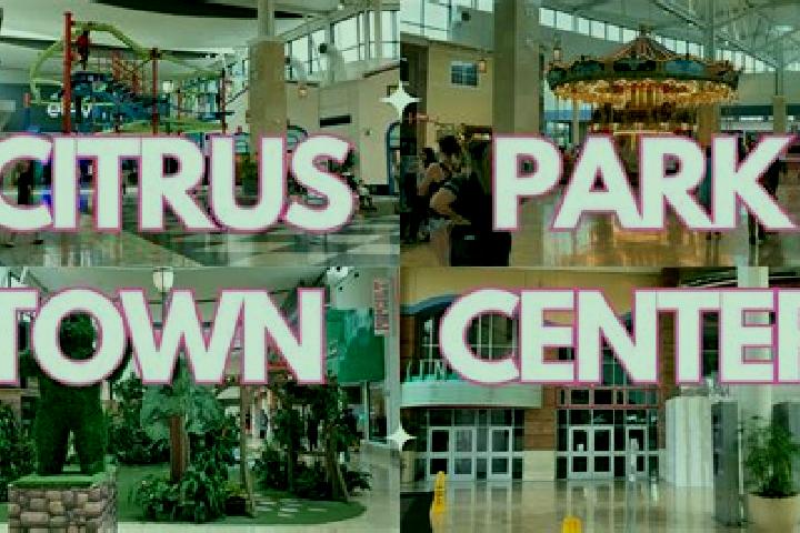 escort Citrus Park