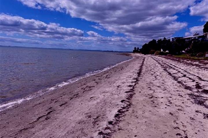 escort Clarks Beach