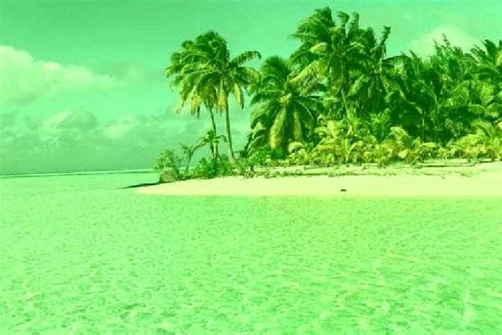 escort Clear Island Waters
