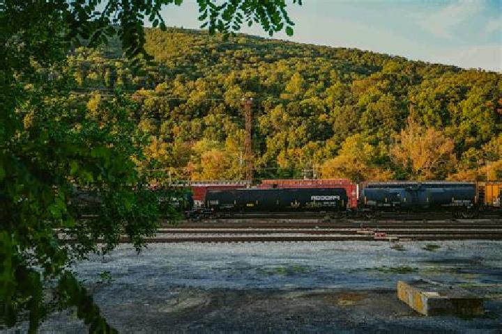 escort Clifton Forge