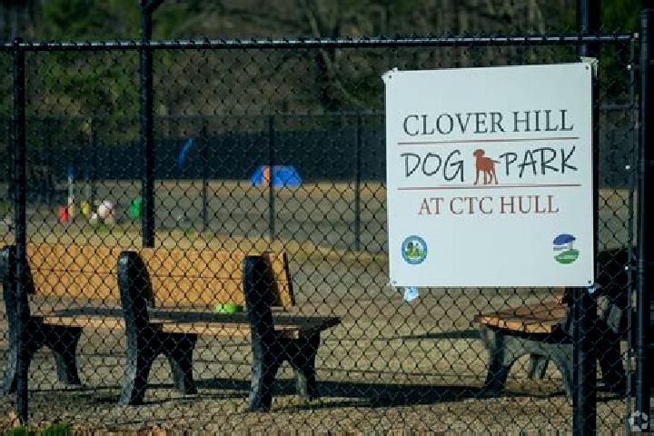 escort Clover Hill