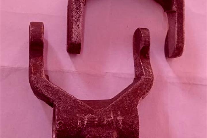 escort Coal Fork