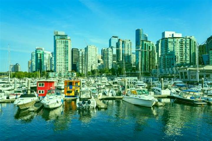 escort Coal Harbour