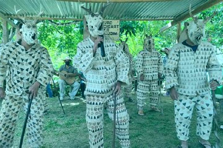escort Cocle