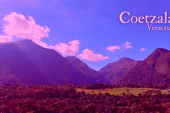 escort Coetzala