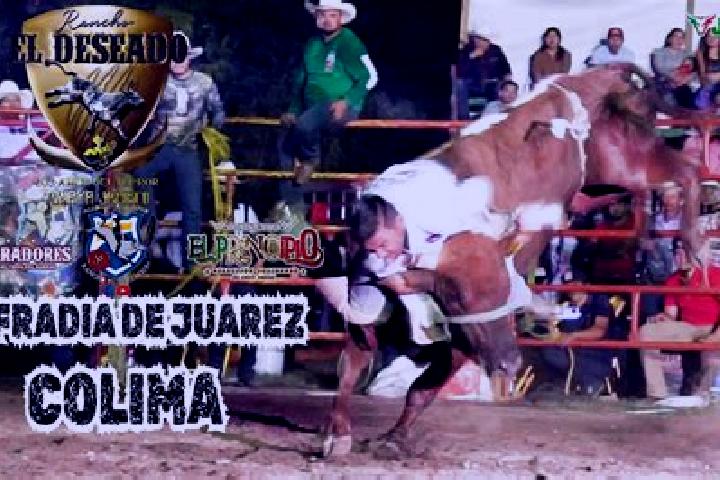 escort Cofradia de Juarez