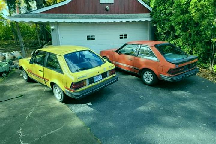 escort Cogenhoe