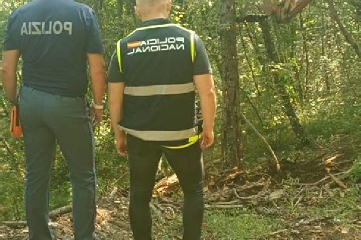 escort Cogollo del Cengio