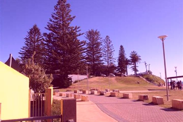 escort Collaroy Plateau