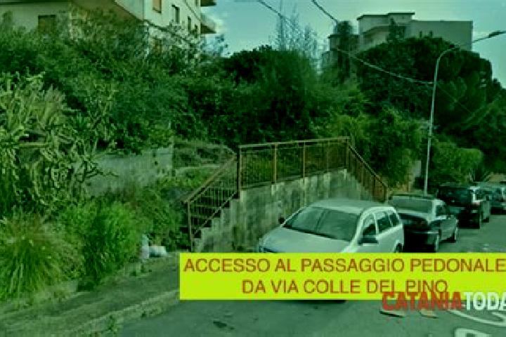 escort Colle del Pino