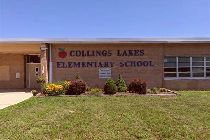 escort Collings Lakes