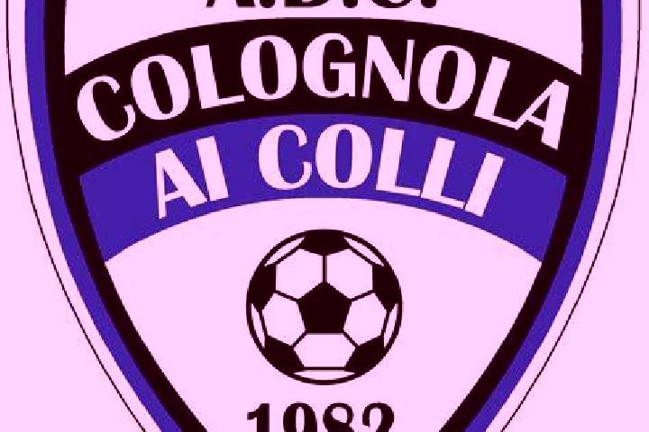 escort Colognola ai Colli