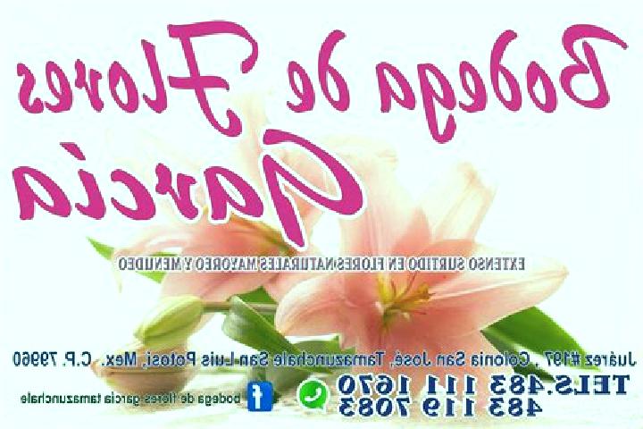 escort Colonia Flores Garcia