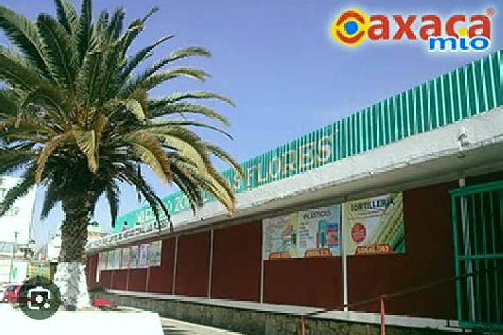 escort Colonia las Flores