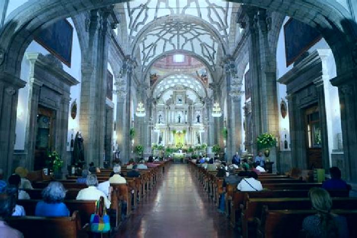 escort Colonia San Francisco de Asis