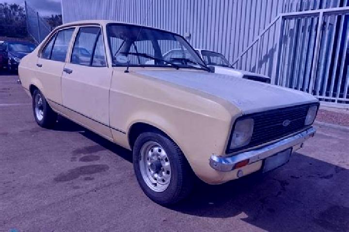 escort Colstrip