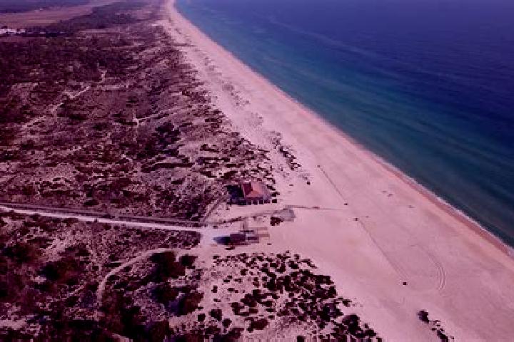 escort Comporta
