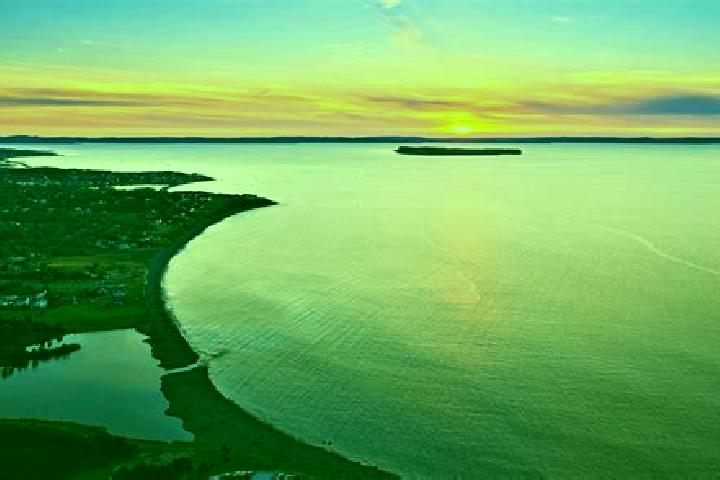 escort Conception Bay South