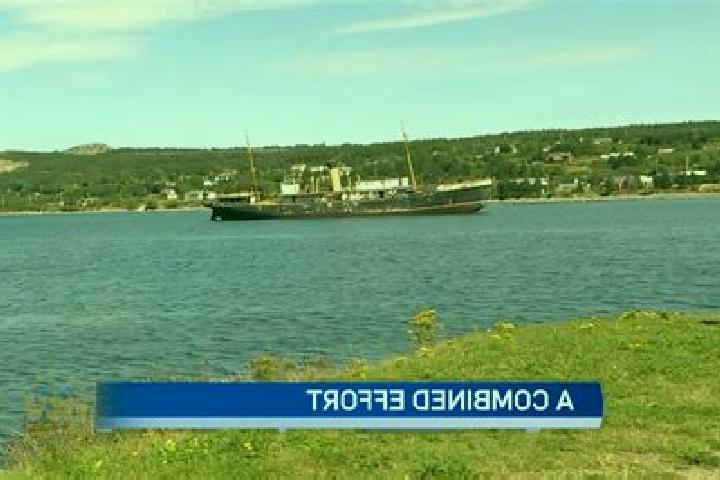 escort Conception Harbour