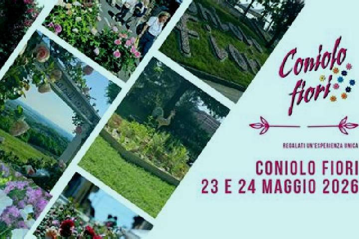 escort Coniolo Bricco