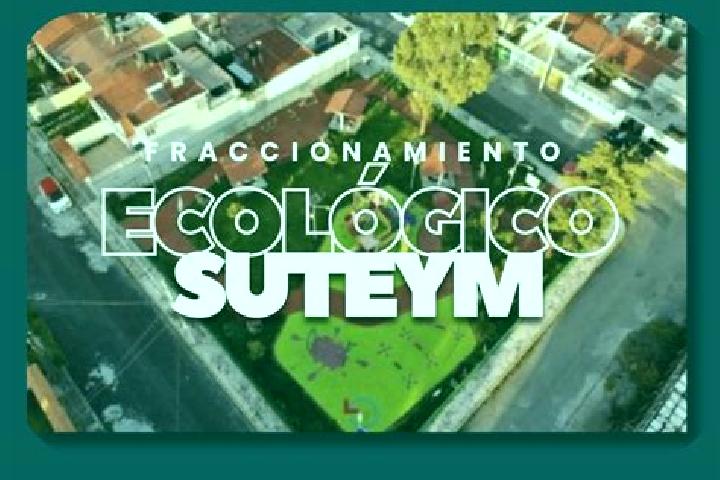 escort Conjunto Habitacional Ecologico SUTEYM