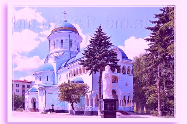 escort Constantin Gabrielescu