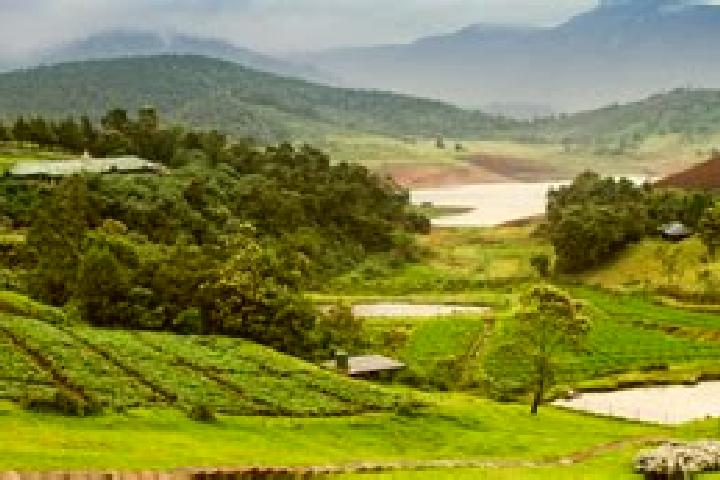 escort Coonoor