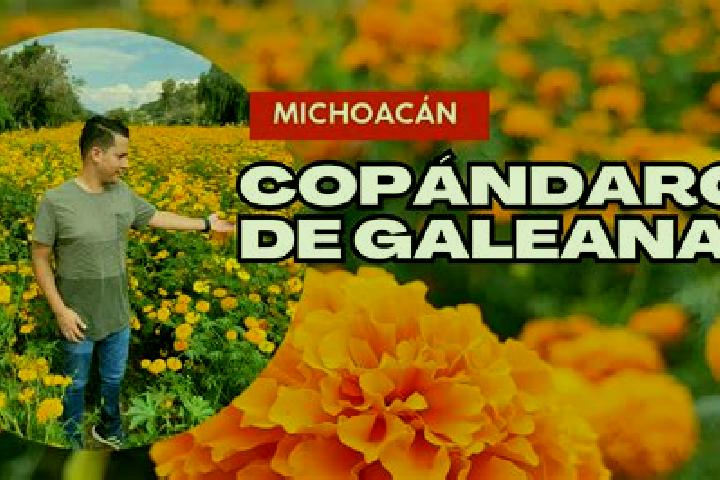 escort Copandaro de Galeana