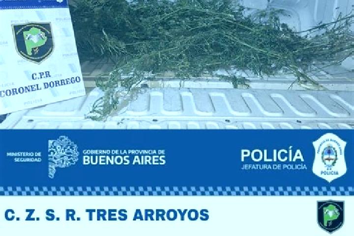 escort Coronel Dorrego