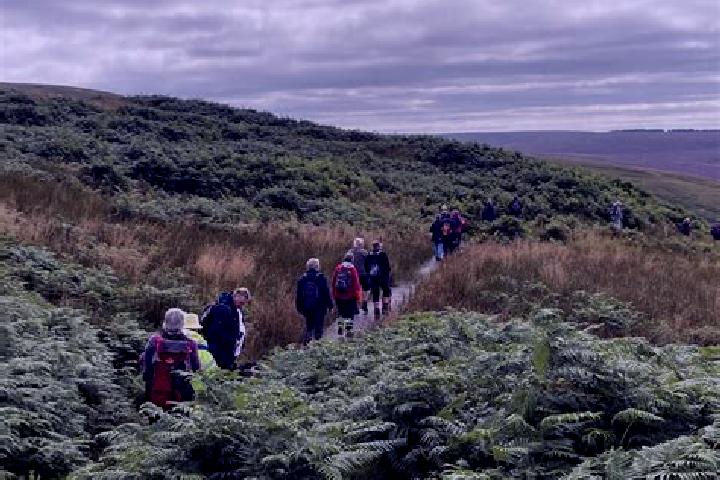 escort Corsenside