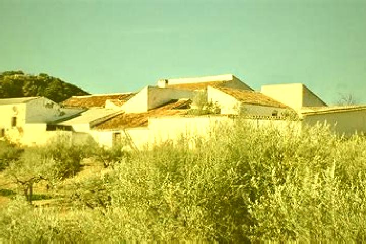 escort Cortijo Nuevo