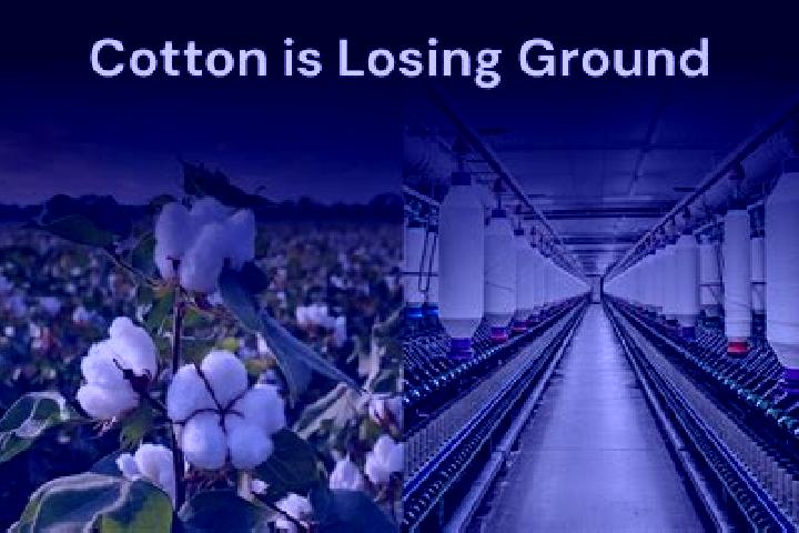 escort Cotton Ground