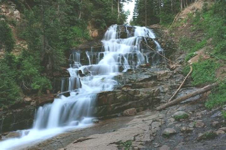 escort Cottonwood Falls