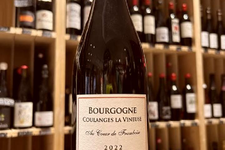 escort Coulanges-la-Vineuse